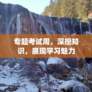 專題考試周，深挖知識，展現(xiàn)學習魅力