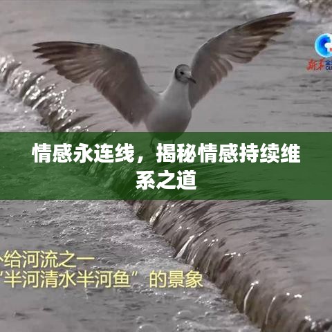 千斤頂 第126頁