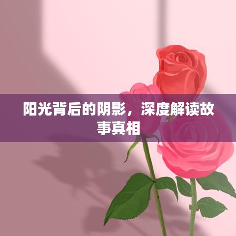 陽(yáng)光背后的陰影，深度解讀故事真相