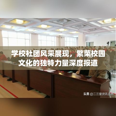 學校社團風采展現(xiàn)，繁榮校園文化的獨特力量深度報道