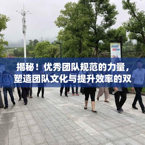 揭秘！優(yōu)秀團(tuán)隊(duì)規(guī)范的力量，塑造團(tuán)隊(duì)文化與提升效率的雙重秘訣