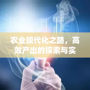 農(nóng)業(yè)現(xiàn)代化之路，高效產(chǎn)出的探索與實(shí)踐