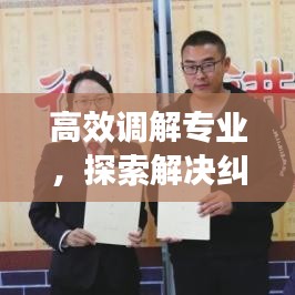 高效調(diào)解專業(yè)，探索解決糾紛的新路徑