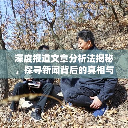 深度報道文章分析法揭秘，探尋新聞背后的真相與價值內(nèi)幕