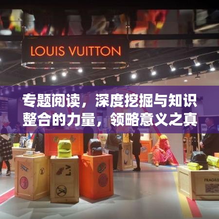專題閱讀，深度挖掘與知識整合的力量，領(lǐng)略意義之真諦