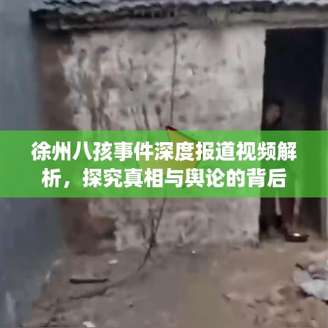 徐州八孩事件深度報(bào)道視頻解析，探究真相與輿論的背后