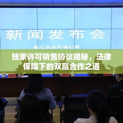 獨(dú)家許可銷售協(xié)議揭秘，法律保障下的雙贏合作之道