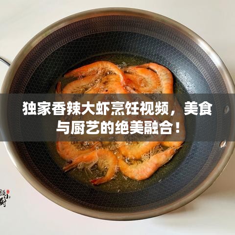 下載中心 第126頁(yè)