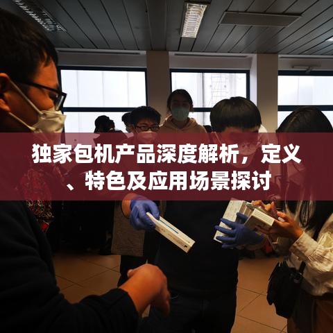 獨(dú)家包機(jī)產(chǎn)品深度解析，定義、特色及應(yīng)用場景探討