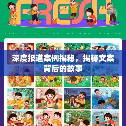 深度報(bào)道案例揭秘，揭秘文案背后的故事