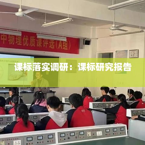 課標(biāo)落實(shí)調(diào)研：課標(biāo)研究報告 