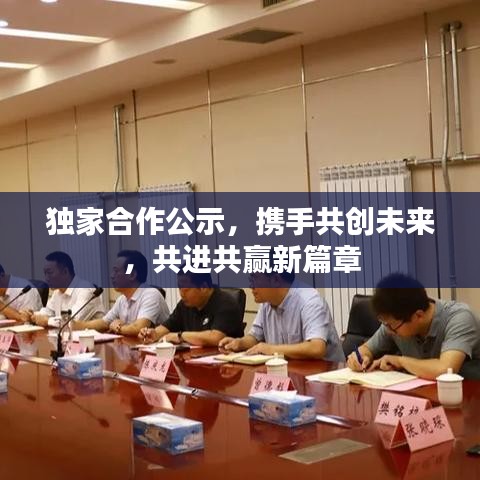 獨(dú)家合作公示，攜手共創(chuàng)未來(lái)，共進(jìn)共贏新篇章