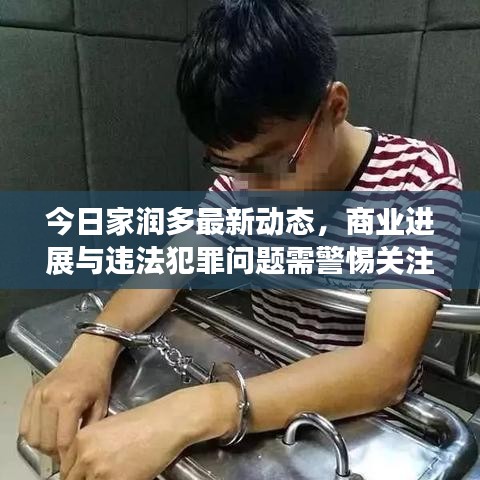 今日家潤多最新動態(tài)，商業(yè)進(jìn)展與違法犯罪問題需警惕關(guān)注