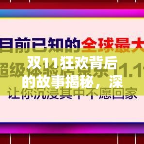 雙11狂歡背后的故事揭秘，深度報道，探尋購物盛宴的真相