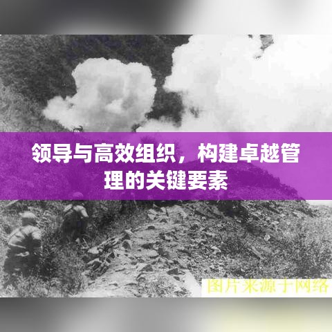 領(lǐng)導(dǎo)與高效組織，構(gòu)建卓越管理的關(guān)鍵要素
