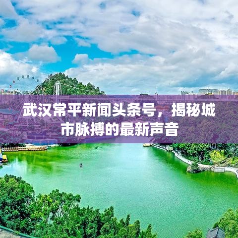 武漢常平新聞?lì)^條號(hào)，揭秘城市脈搏的最新聲音