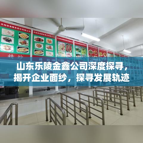 山東樂陵金鑫公司深度探尋，揭開企業(yè)面紗，探尋發(fā)展軌跡