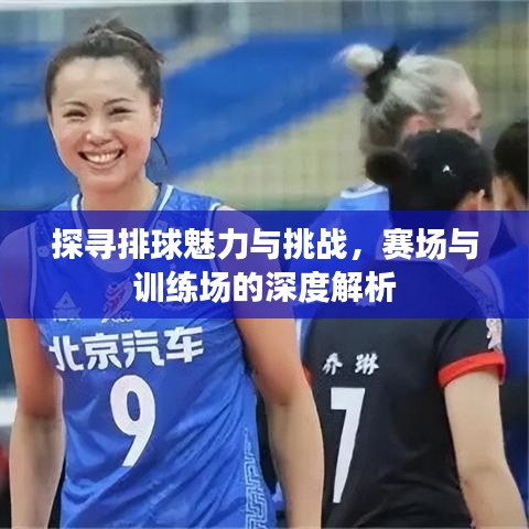 探尋排球魅力與挑戰(zhàn)，賽場與訓(xùn)練場的深度解析