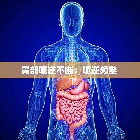 氣囊 第120頁