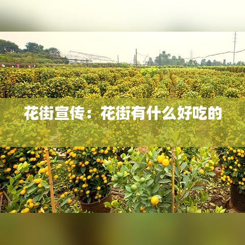 成功案例 第116頁