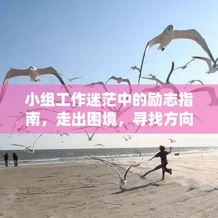 小組工作迷茫中的勵(lì)志指南，走出困境，尋找方向的力量語(yǔ)錄