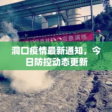 洞口疫情最新通知，今日防控動態(tài)更新