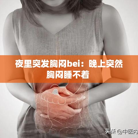 氣囊 第117頁