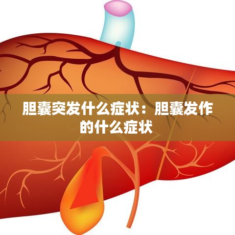 精益求精 第4頁(yè)