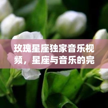 玫瑰星座獨(dú)家音樂視頻，星座與音樂的完美交融