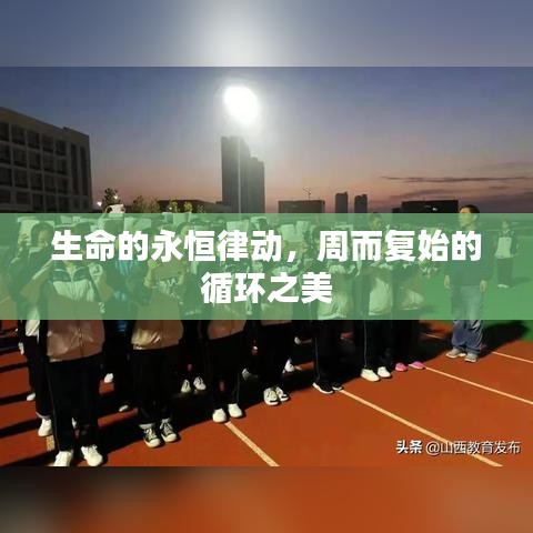 生命的永恒律動(dòng)，周而復(fù)始的循環(huán)之美
