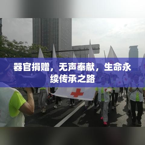 器官捐贈，無聲奉獻，生命永續(xù)傳承之路