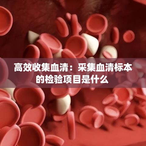 高效收集血清：采集血清標(biāo)本的檢驗項目是什么 