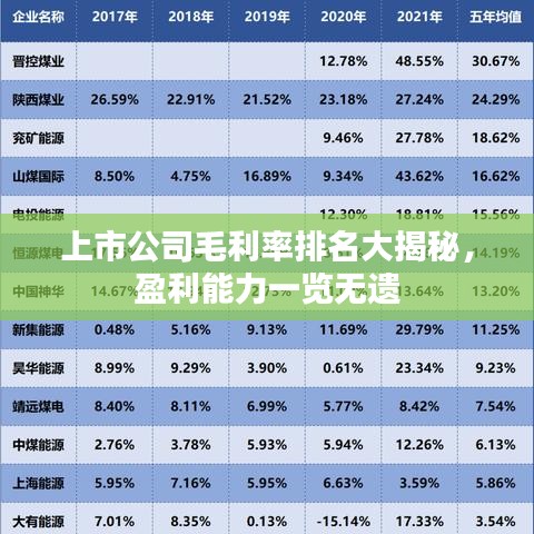 上市公司毛利率排名大揭秘，盈利能力一覽無遺