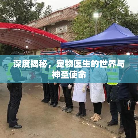 深度揭秘，寵物醫(yī)生的世界與神圣使命