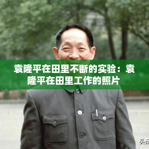 翰飛戾天 第3頁(yè)