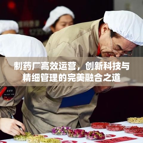 制藥廠高效運營，創(chuàng)新科技與精細(xì)管理的完美融合之道