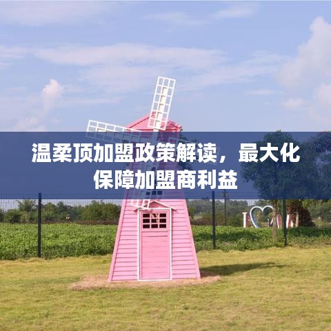 溫柔頂加盟政策詳解，最大化保障加盟商利益