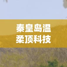 秦皇島溫柔頂科技榮獲創(chuàng)新獎，引領(lǐng)行業(yè)潮流，鑄就典范地位