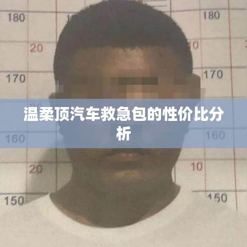 溫柔頂汽車救急包，性價(jià)比解析