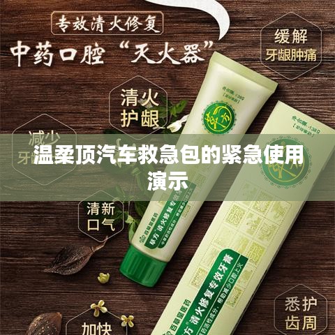 溫柔頂汽車救急包緊急使用指南，演示篇