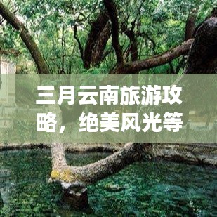 三月云南旅游攻略，絕美風(fēng)光等你來(lái)探！