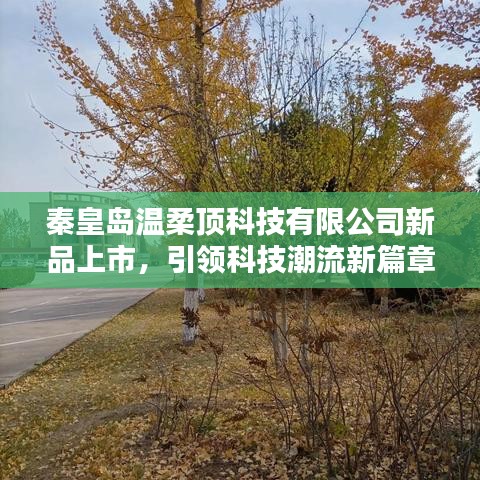 秦皇島溫柔頂科技新品發(fā)布，科技潮流新篇章開啟