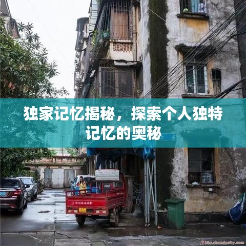 獨家記憶揭秘，探索個人獨特記憶的奧秘