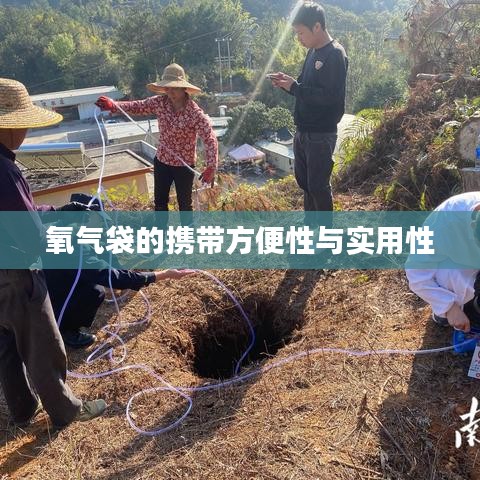 氧氣袋便攜實用，應急醫(yī)療好幫手