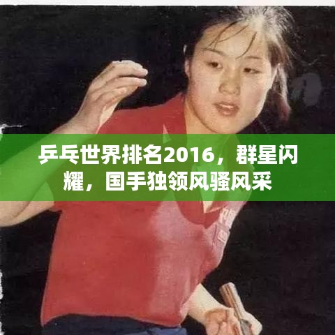 乒乓世界排名2016，群星閃耀，國手獨領風騷風采