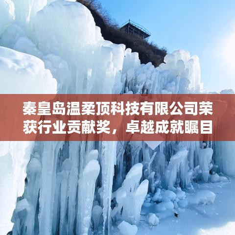 秦皇島溫柔頂科技榮獲行業(yè)貢獻(xiàn)獎(jiǎng)，引領(lǐng)創(chuàng)新風(fēng)潮，卓越成就矚目
