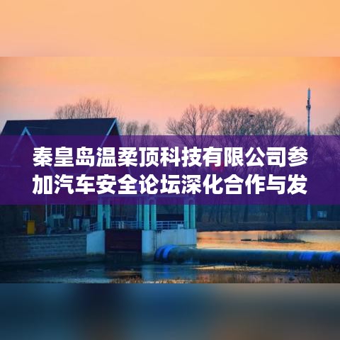 秦皇島溫柔頂科技參加汽車安全論壇，深化合作，共謀發(fā)展