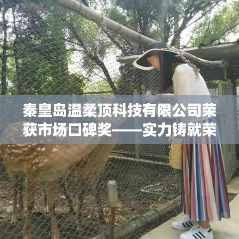 秦皇島溫柔頂科技榮獲市場口碑獎，實力創(chuàng)新，引領未來