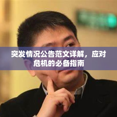 突發(fā)情況公告范文詳解，應(yīng)對危機的必備指南