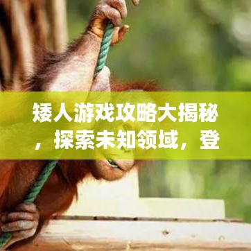 矮人游戲攻略大揭秘，探索未知領(lǐng)域，登頂頂尖玩家之路！